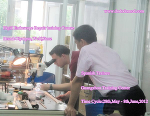 medical training schools ( rigid endoscope)